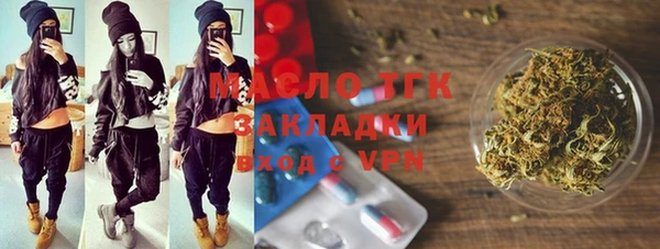 ГАЛЛЮЦИНОГЕННЫЕ ГРИБЫ Тайга